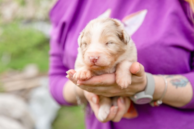 Uma mulher segura um cachorrinho nas mãos.