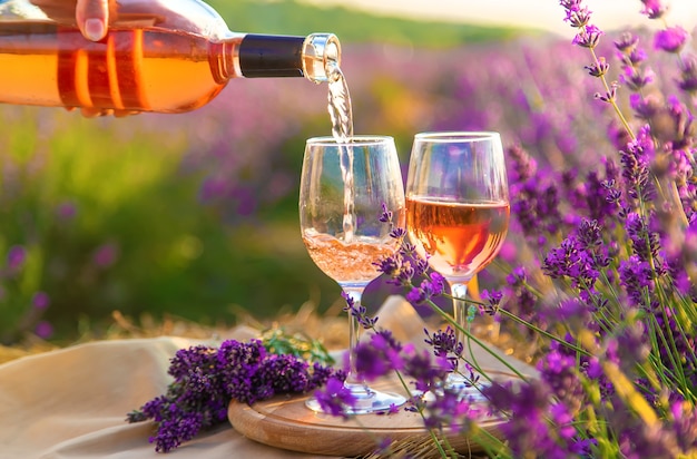 Uma mulher segura vinho em taças. Piquenique no campo de lavanda. Foco seletivo.