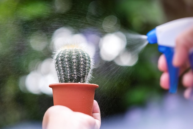 Uma mulher segurando um cacto em vaso de flores e usando uma garrafa de água para regá-lo ao ar livre