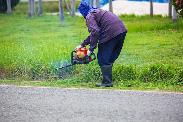 Uma mulher tentando cortar grama alta e crescida em um prado com um poderoso