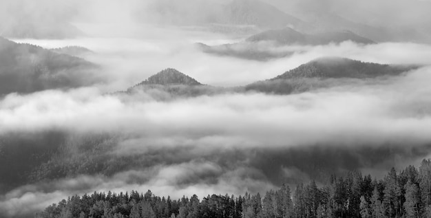 Uma névoa espessa cobriu as montanhas panorama preto e branco paisagem natureza