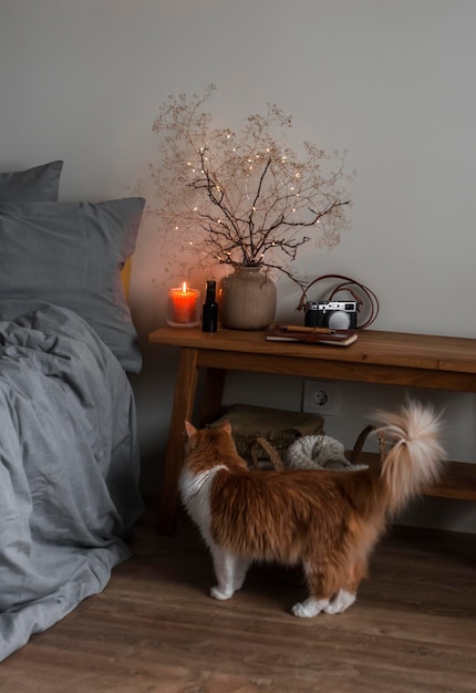 Uma noite aconchegante no quarto uma vela acesa decoração de outono e um gato vermelho