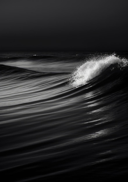 Uma onda está quebrando no oceano e o céu está preto e branco.