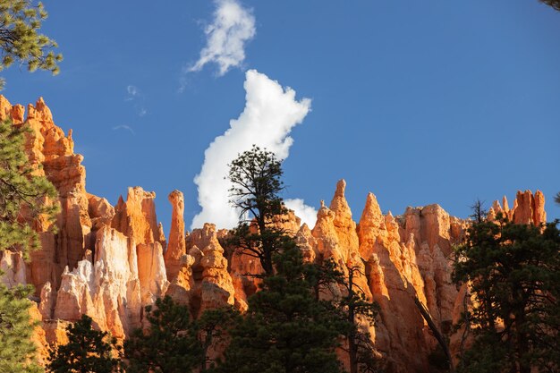 Foto uma óptima vista para uma parte do magnífico bryce canyon.