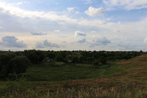 Uma paisagem com um campo e árvores