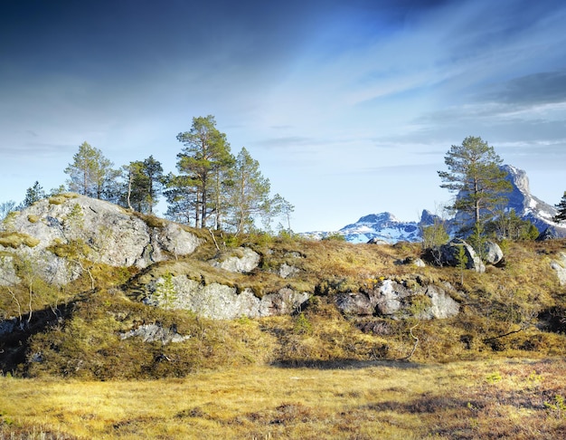 Uma paisagem de uma montanha com árvores e grama marrom crescendo ao ar livre na natureza em um dia de inverno Terra com plantas secas ou áridas e uma colina rochosa com um fundo de céu azul nublado