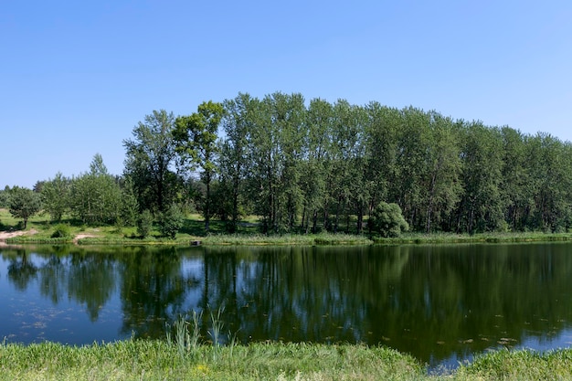 Uma paisagem de verão com grama verde e árvores caducas e um rio com vários afluentes e grandes ilhas no meio do rio
