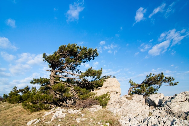 Uma paisagem maravilhosa e excepcionalmente bonita com vista para o planalto das montanhas da Crimeia Natureza limpa e razoável do território da Crimeia Ucrânia ocupado pela Federação Russa