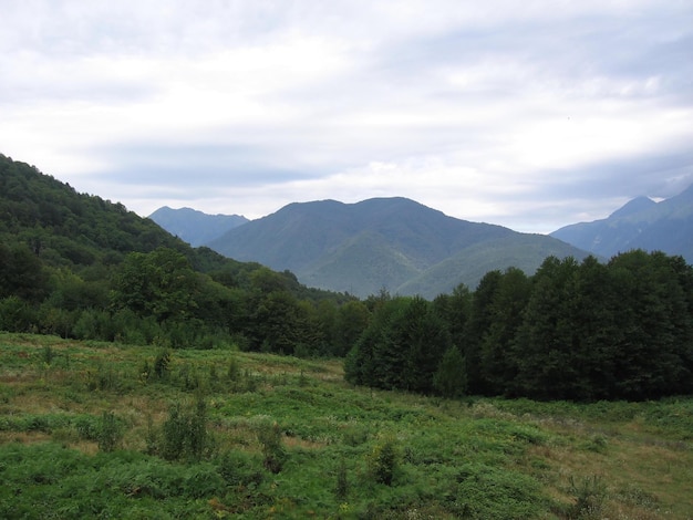 Uma paisagem montanhosa panorâmica com vales e picos de montanhas florestais