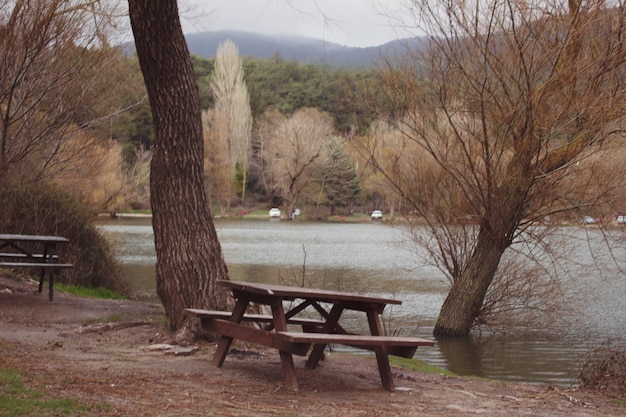 Uma paisagem natural de árvores e bancos à beira do lago, amarelos e verdes