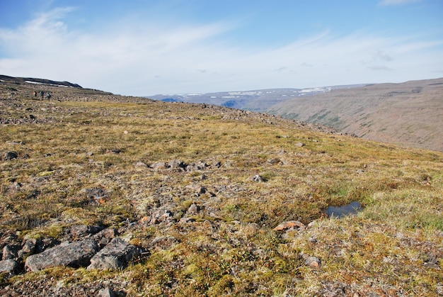 Uma paisagem rochosa