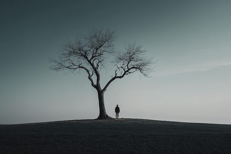 Foto uma paisagem surreal de fantasia selvagem