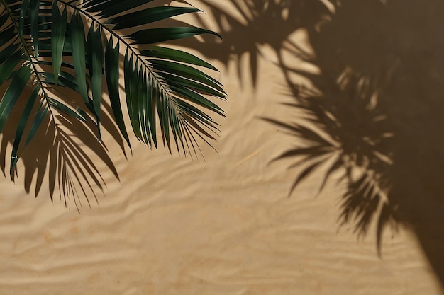 Foto uma palmeira é mostrada com uma planta verde em primeiro plano creative copyspace