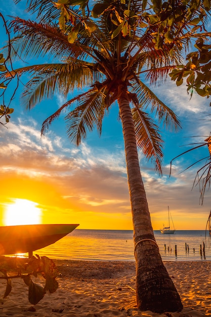 Uma palmeira na praia de Sunset from West End Beach, Roatan Island. Honduras