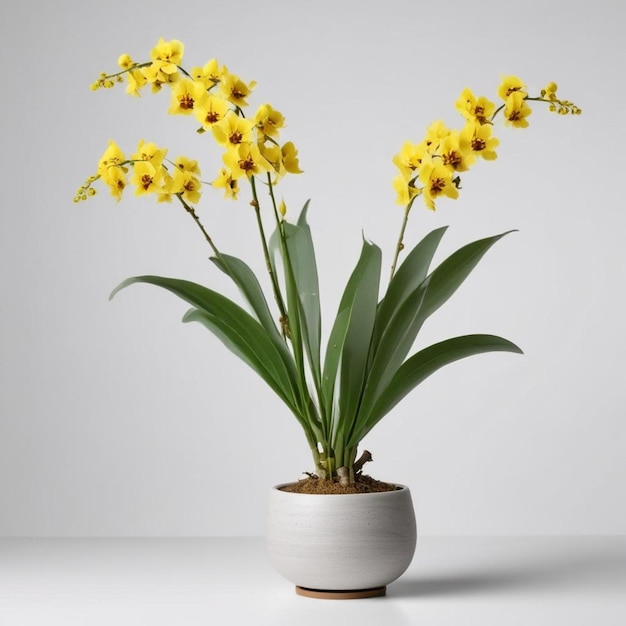 uma panela branca com flores amarelas e folhas verdes