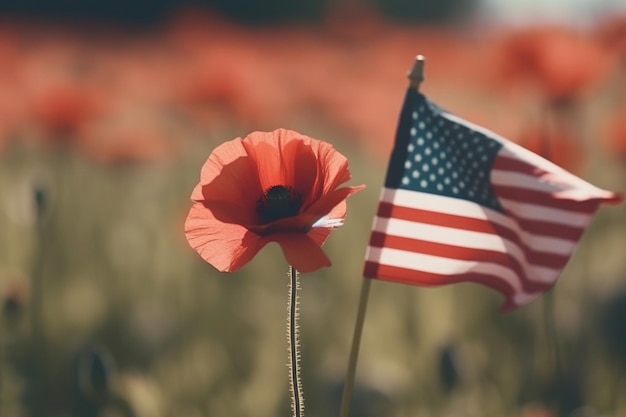 Uma papoula vermelha fica em um campo com uma bandeira americana ao fundo