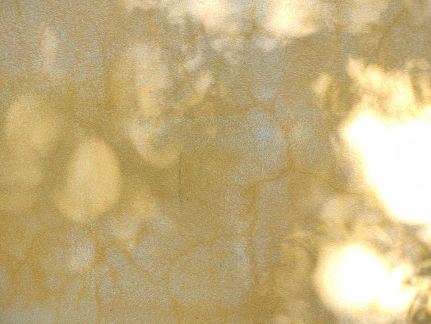 Uma parede amarela com uma sombra de folhas