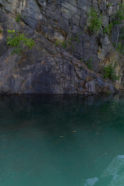 Uma parede de pedra com árvores brotando e uma lagoa