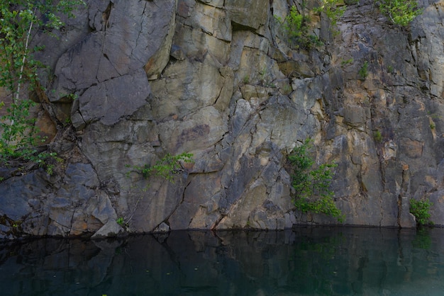 Uma parede de pedra perto da água As árvores crescem através da pedra