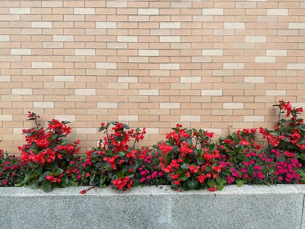 Uma parede de tijolos com flores vermelhas e folhas verdes.