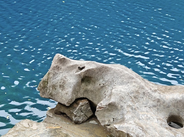 Uma pedra com um coração nela