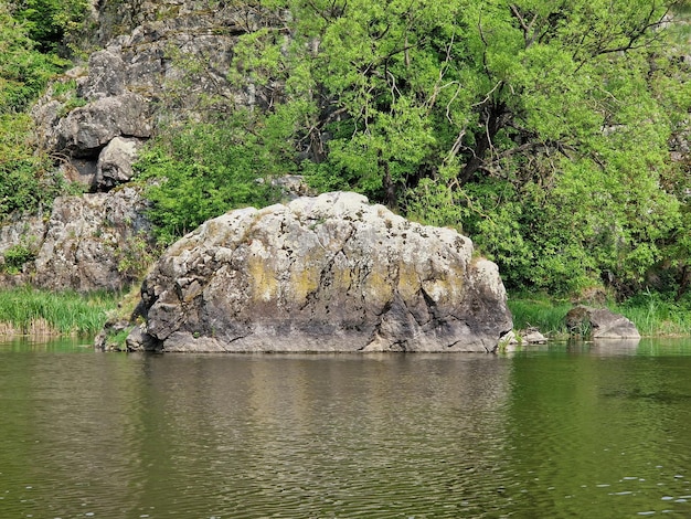 Uma pedra na água com a palavra rock nela