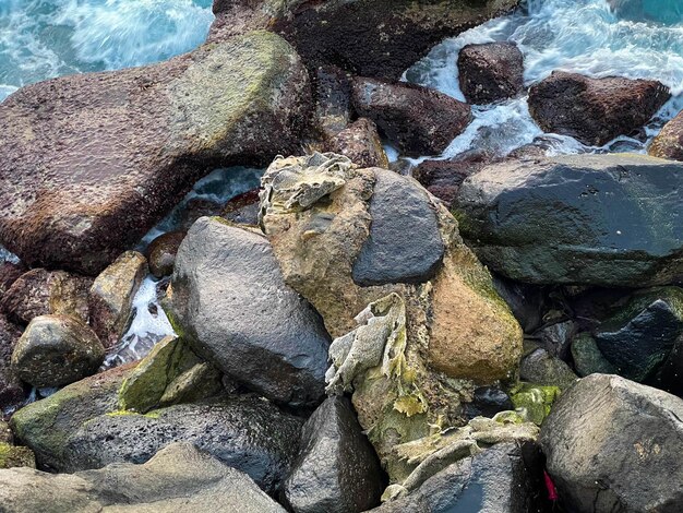 Uma pedra na praia é um sinal do mar.