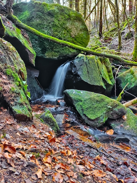 Uma pequena cachoeira em um riacho na floresta, cercada por rochas verdes e cobertas de musgo