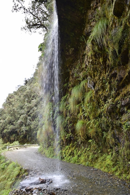 Uma pequena cachoeira na estrada da morte Camino de la Muerte Yungas North Road entre La Paz e Coroico Bolívia