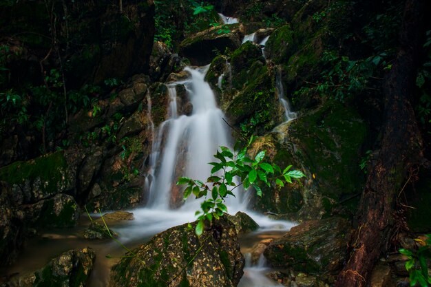 Uma pequena cachoeira no sopé do Monte Paro Aceh Besar