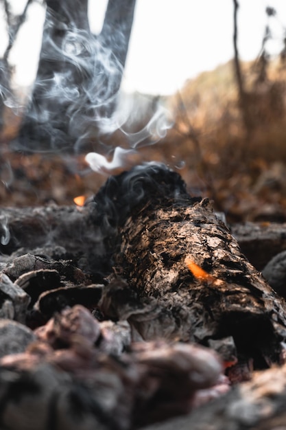 Uma pequena chama mal é visível no fogo moribundo Acenda um fogo na floresta Madeira fumegante no fogo