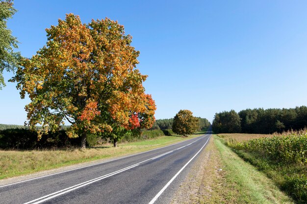 Uma pequena estrada rural na temporada de outono