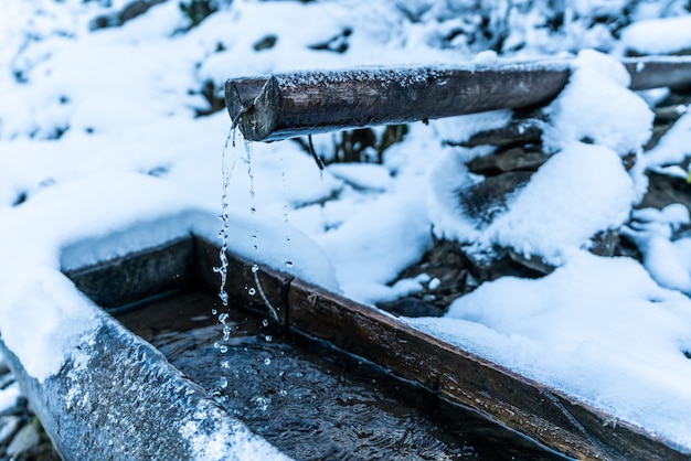 Uma pequena fonte rápida com água limpa e transparente entre neve pesada e floresta escura nas pitorescas montanhas dos Cárpatos