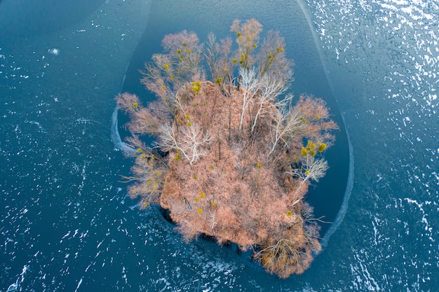 Uma pequena ilha com árvores sem folhas e vegetação seca e alaranjada, no centro do lago Hammers, vista do zangão.