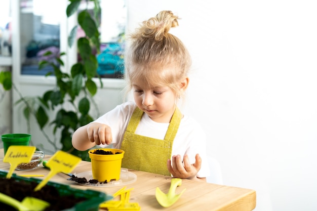Uma pequena menina loira de avental está envolvida no plantio de sementes para mudas, sorrindo, o conceito de jardinagem infantil.
