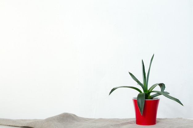 Uma pequena planta de agave em um pote vermelho fica em tecido natural no console branco em frente à parede branca
