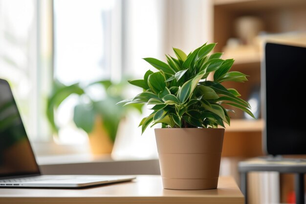 Uma pequena planta interna perto de uma mesa de trabalho organizada em casa