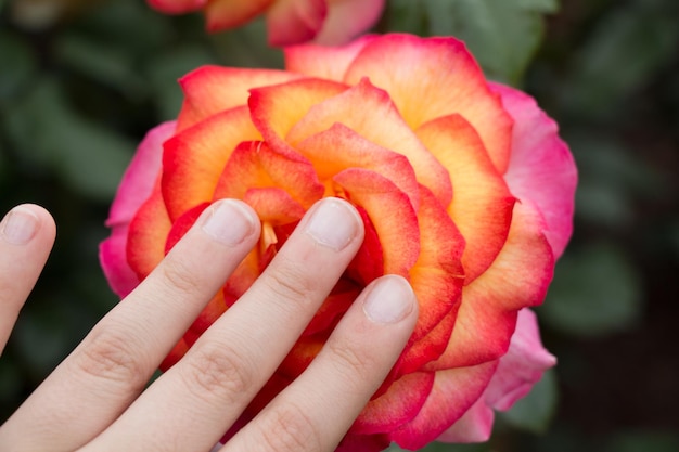 Uma pessoa está segurando uma rosa que tem um dedo que diz " o nome " nele.