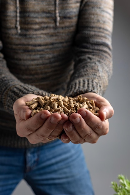 Foto uma pessoa segura um punhado de sementes de girassol.