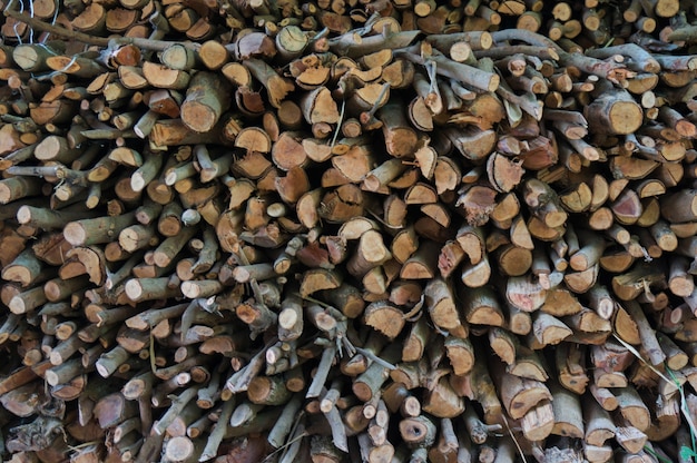Uma pilha de árvores cortadas Pilha de armazenamento de troncos de madeira para a indústria.