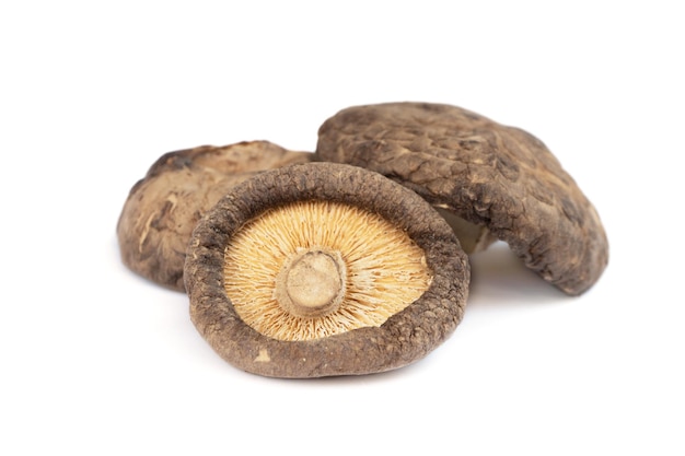 Uma pilha de cogumelos shiitake secos em um fundo branco.