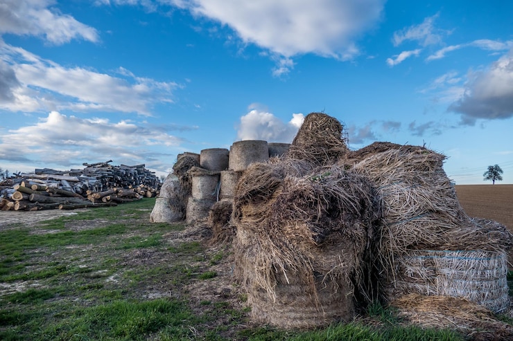 Foto uma pilha de fardos de feno no campo contra o céu