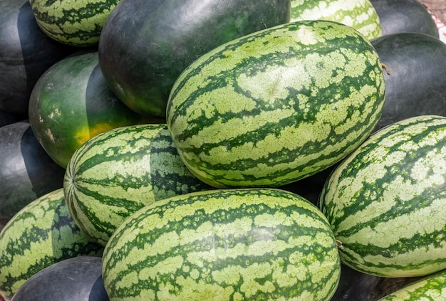 Uma pilha de melancias frescas orgânicas dentro de um mercado de frutas