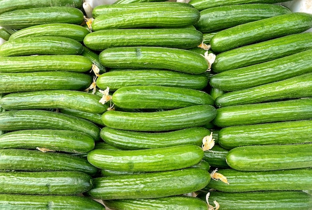 Uma pilha de pepinos em um mercado.