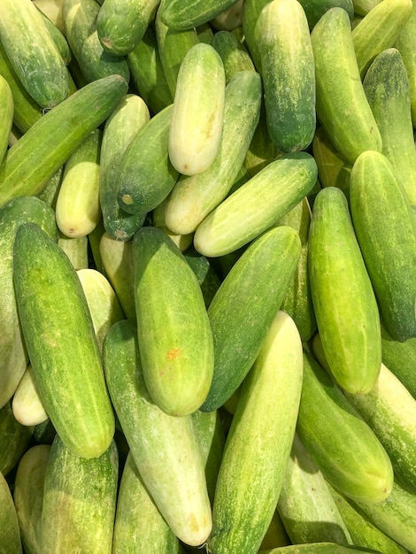 Foto uma pilha de pepinos verdes ou timun do mercado de agricultores