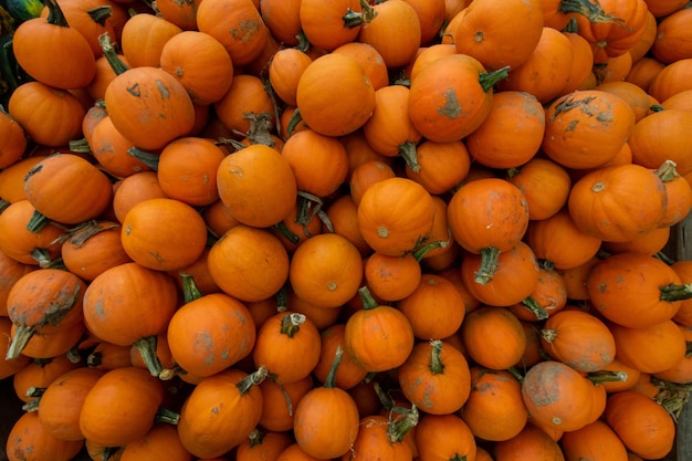 Uma pilha de pequenos pumpkings laranja em uma caixa de madeira em um mercado de agricultores enchendo o quadro
