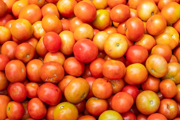 Uma pilha de tomates maduros frescos orgânicos fecha o tiro