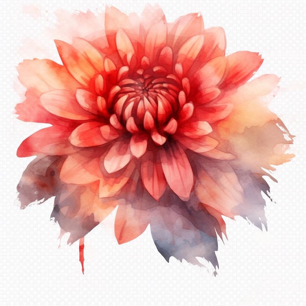 Uma pintura em aquarela de uma flor vermelha e rosa.