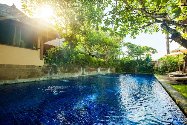 Uma piscina em ambiente tropical