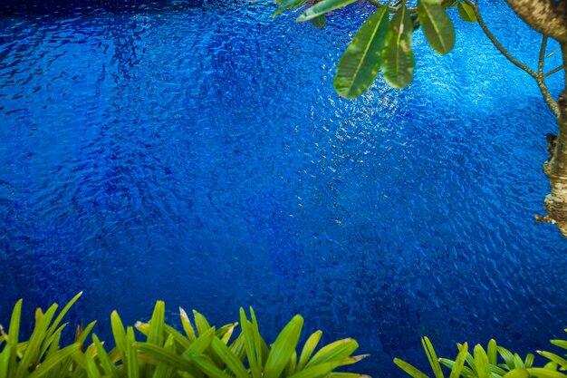 Uma piscina em ambiente tropical